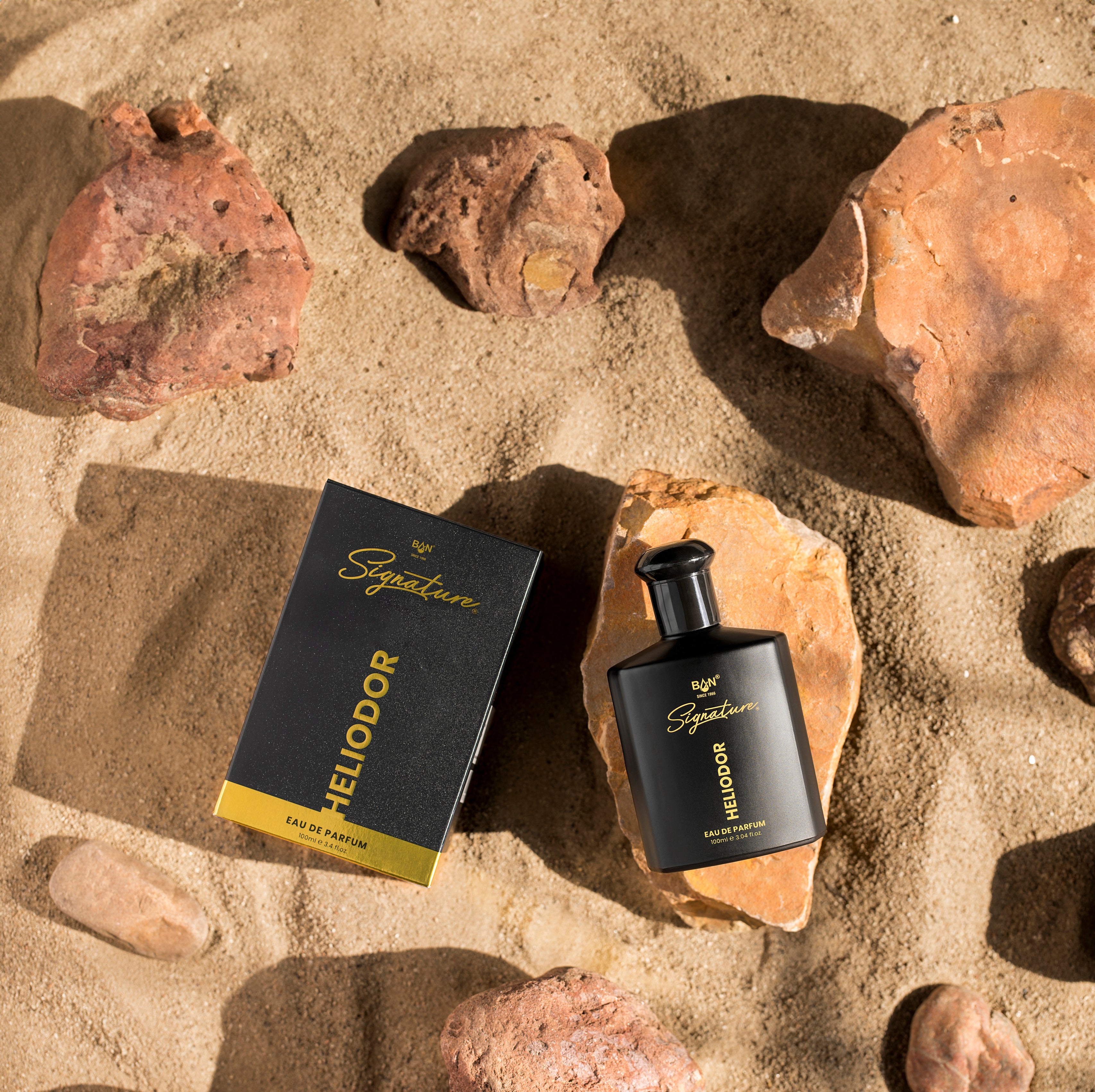 HELIODOR – Men's Eau De Parfum - 100ml | Long-Lasting Woody Chypre