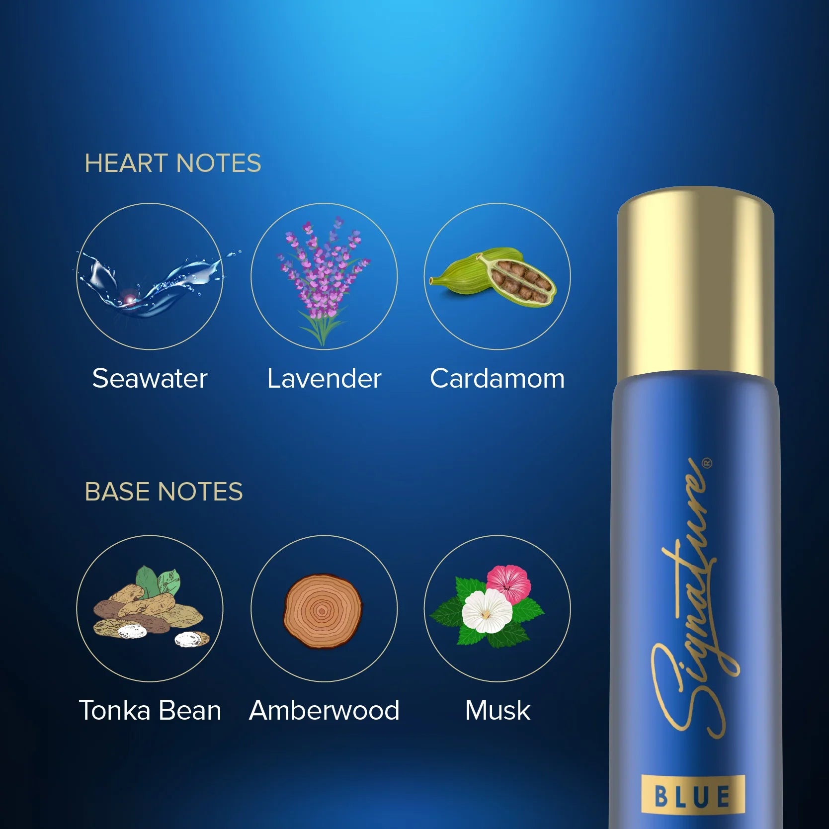 Signature Blue Deodorant Body Spray - 70 ML