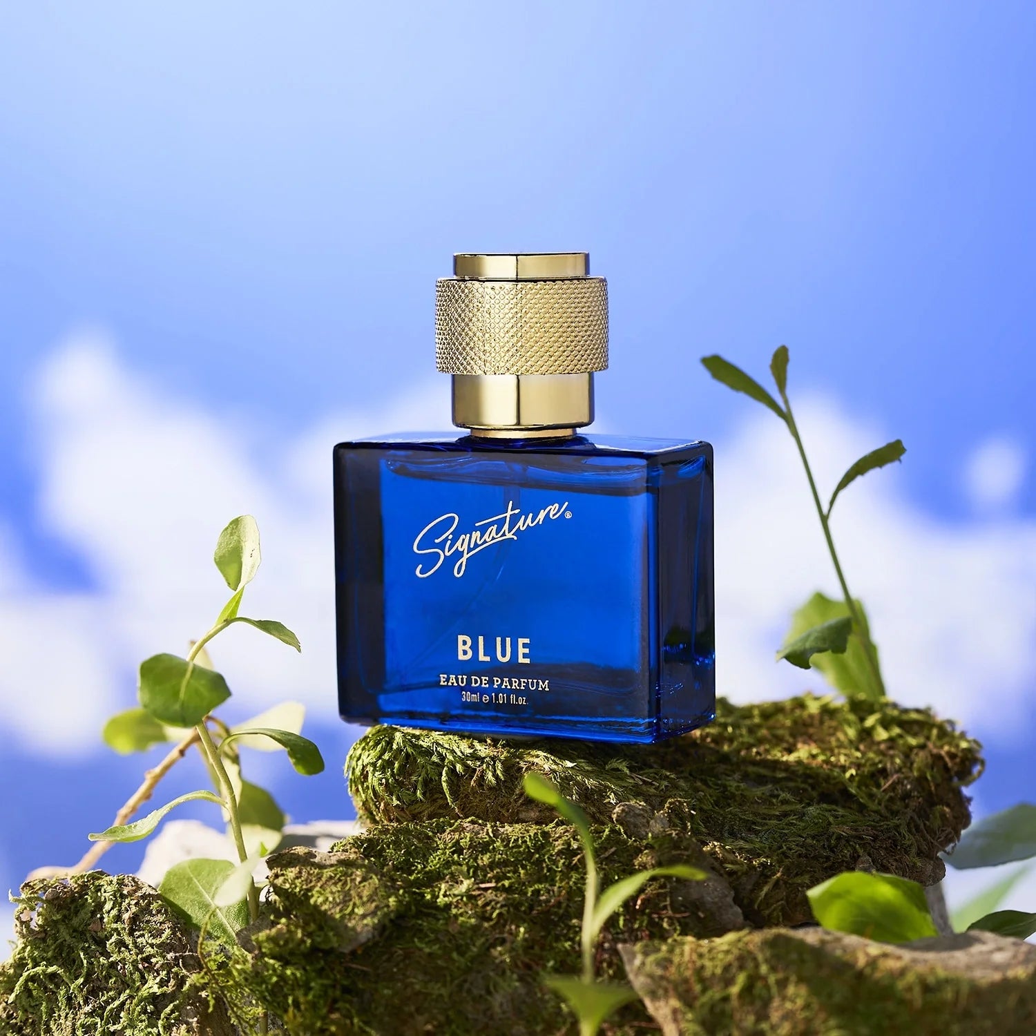 Signature Premium Blue EDP Perfume - 30 ML