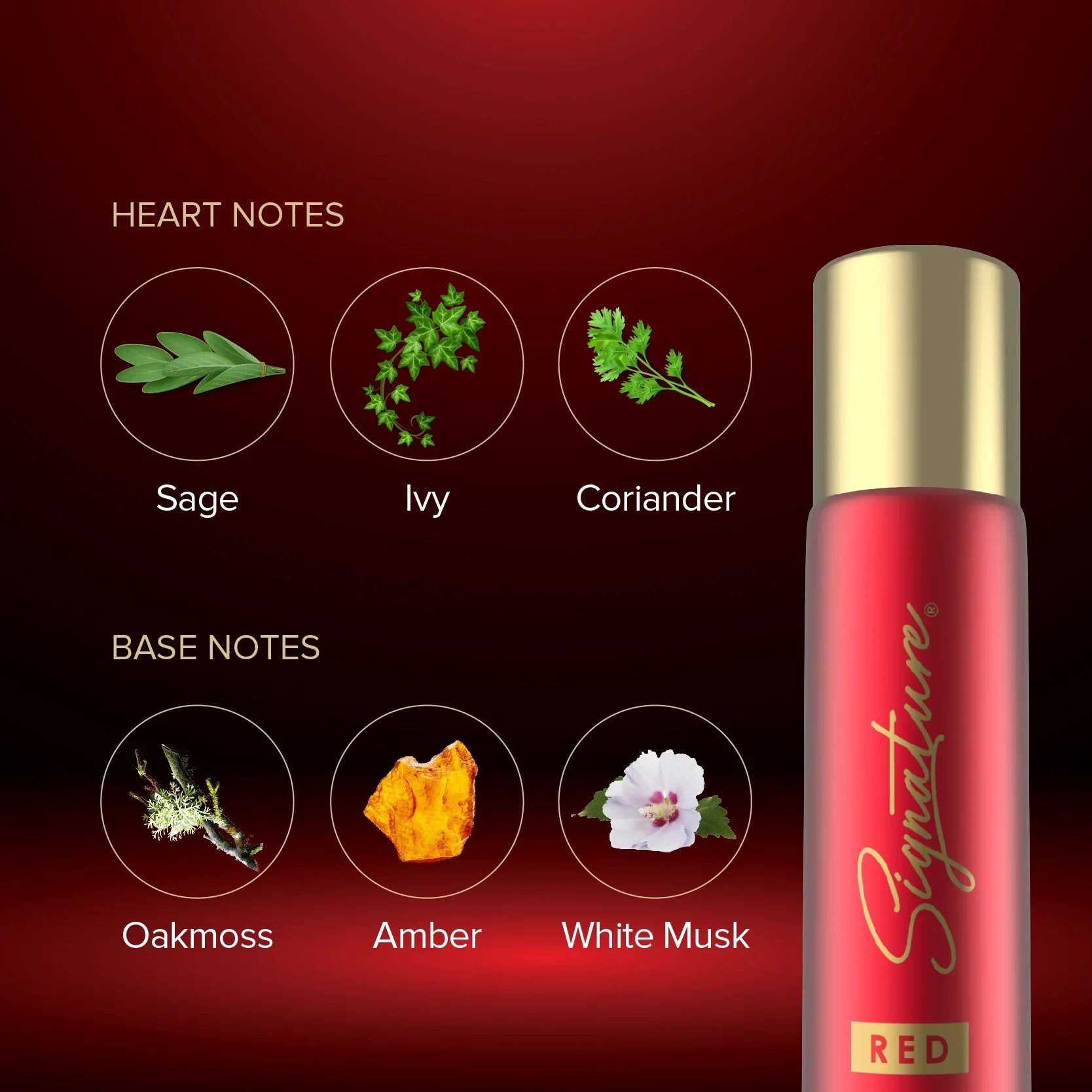 Signature Red Deodorant Body Spray - 70 ML (Unisex)
