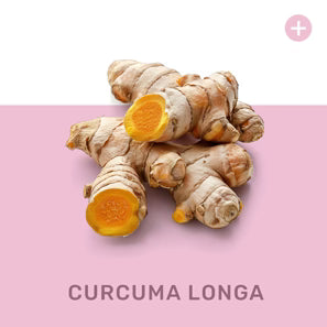 CURCUMA LONGA