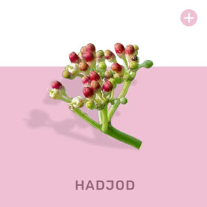 HADJOD