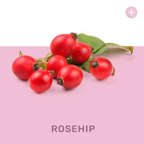 ROSEHIP